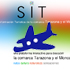 bot sit